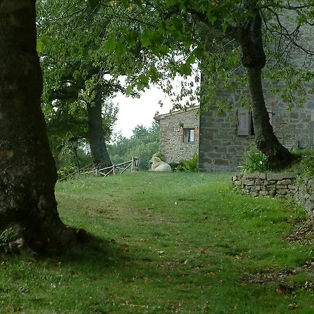 Casina Della Burraia